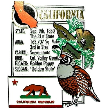 California State Map-Flag Fridge Collectible Souvenir Magnet California State Map-Flag Fridge Collectible Souvenir Magnet